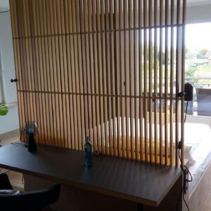 Junior Penthouse