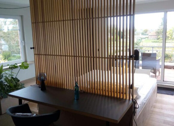 Junior Penthouse